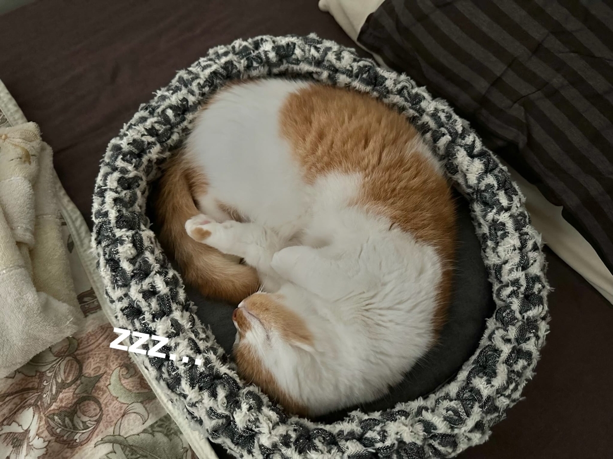 くつろぐるるちゃん