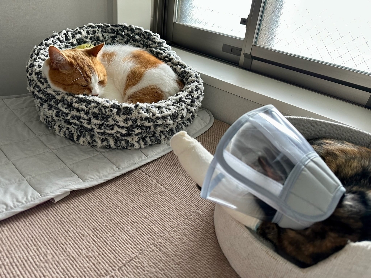 向かい合うふたり1