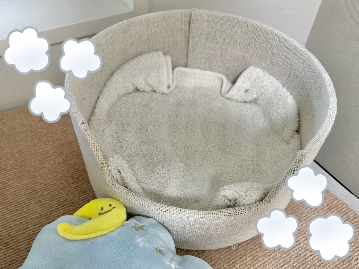 もなちゃんの寝床