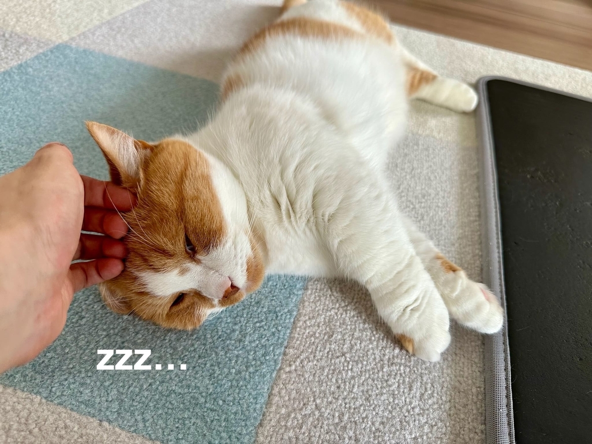 なでなでるるちゃん2