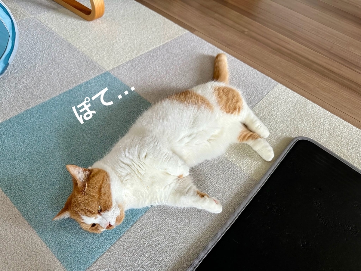 床に転がるるるちゃん