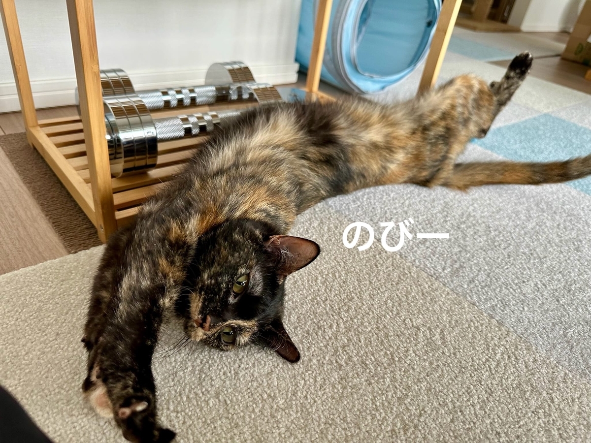 のびのびするもなちゃん