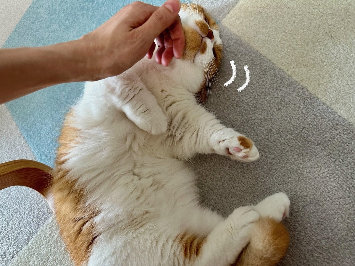 顎なでなでるるちゃん