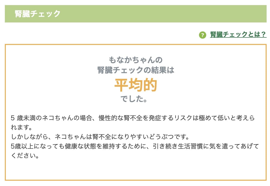 もなちゃんの腎臓チェック