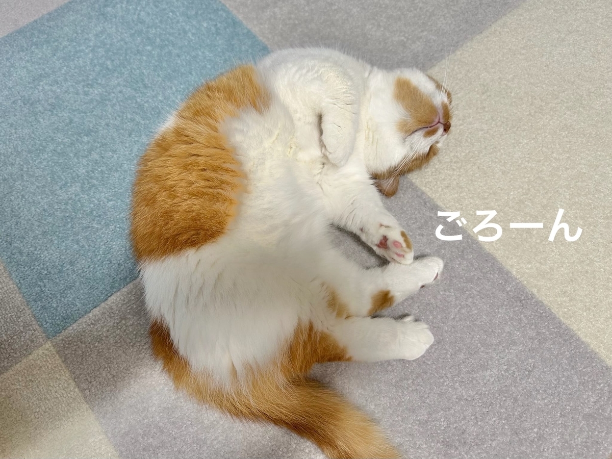 転がるるるちゃん