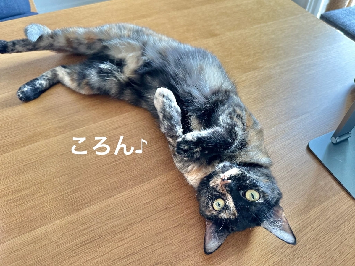 転がるもなちゃん