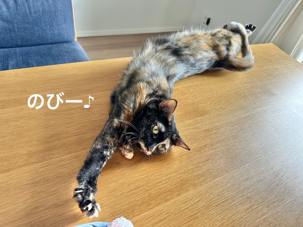 のびのびするもなちゃん