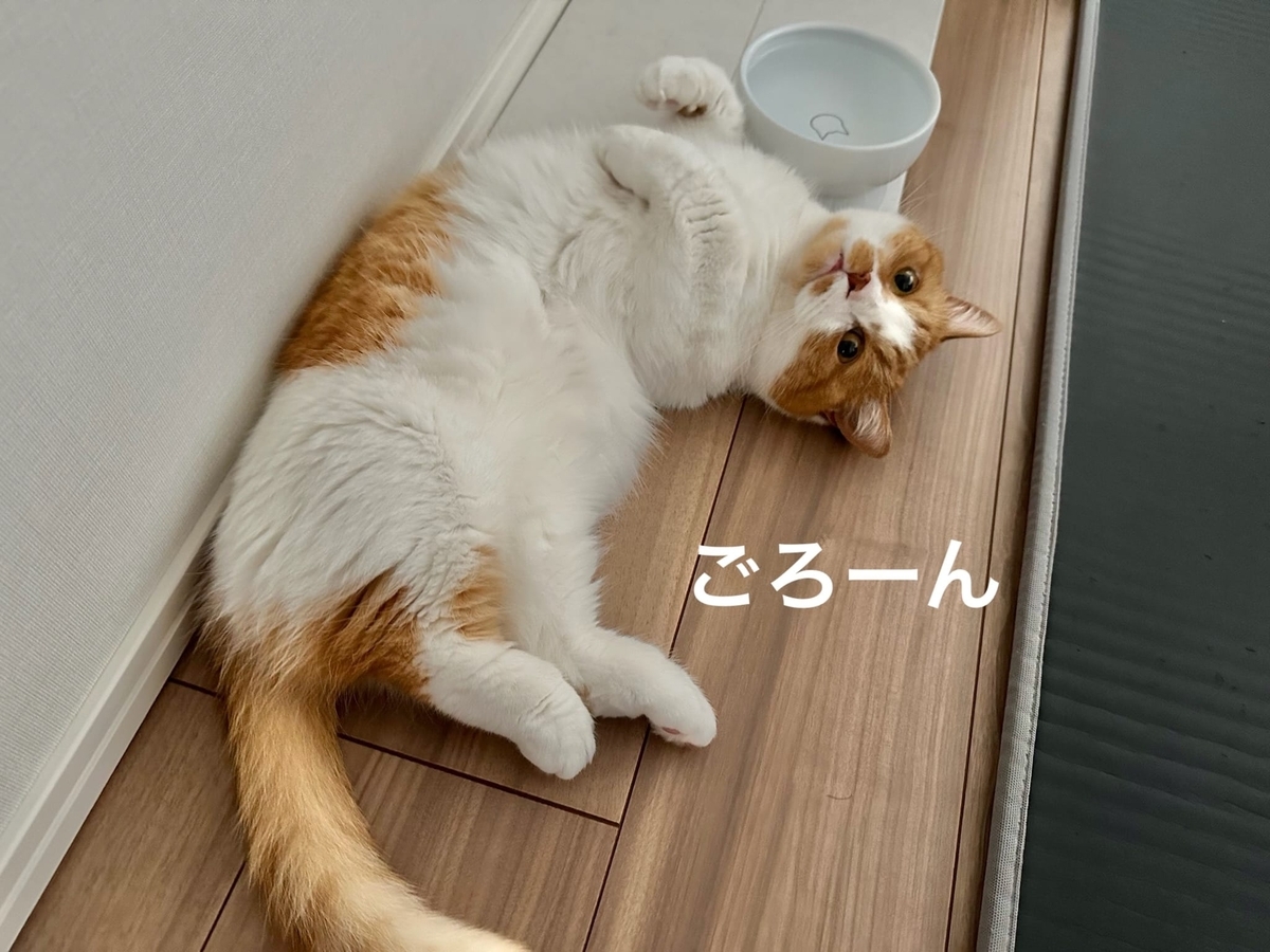 転がるるるちゃん2