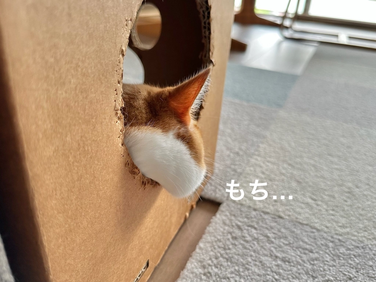 るるちゃんのもちもちほっぺ2