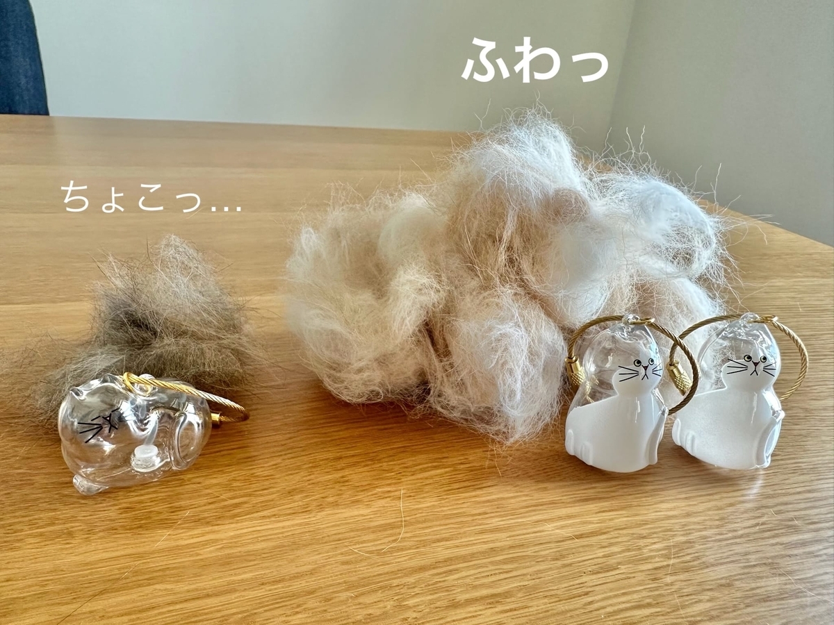 けだまだまと抜け毛