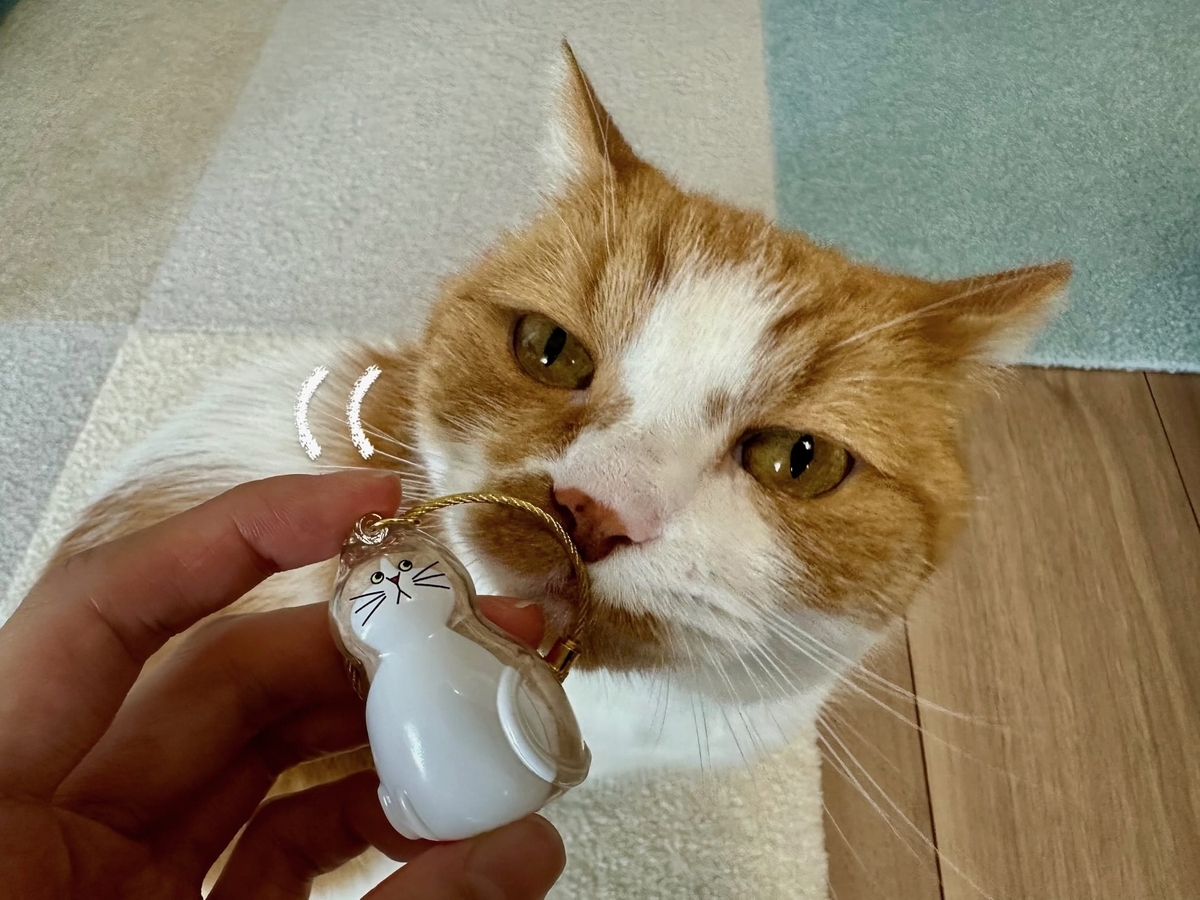 るるちゃんとけだまだま