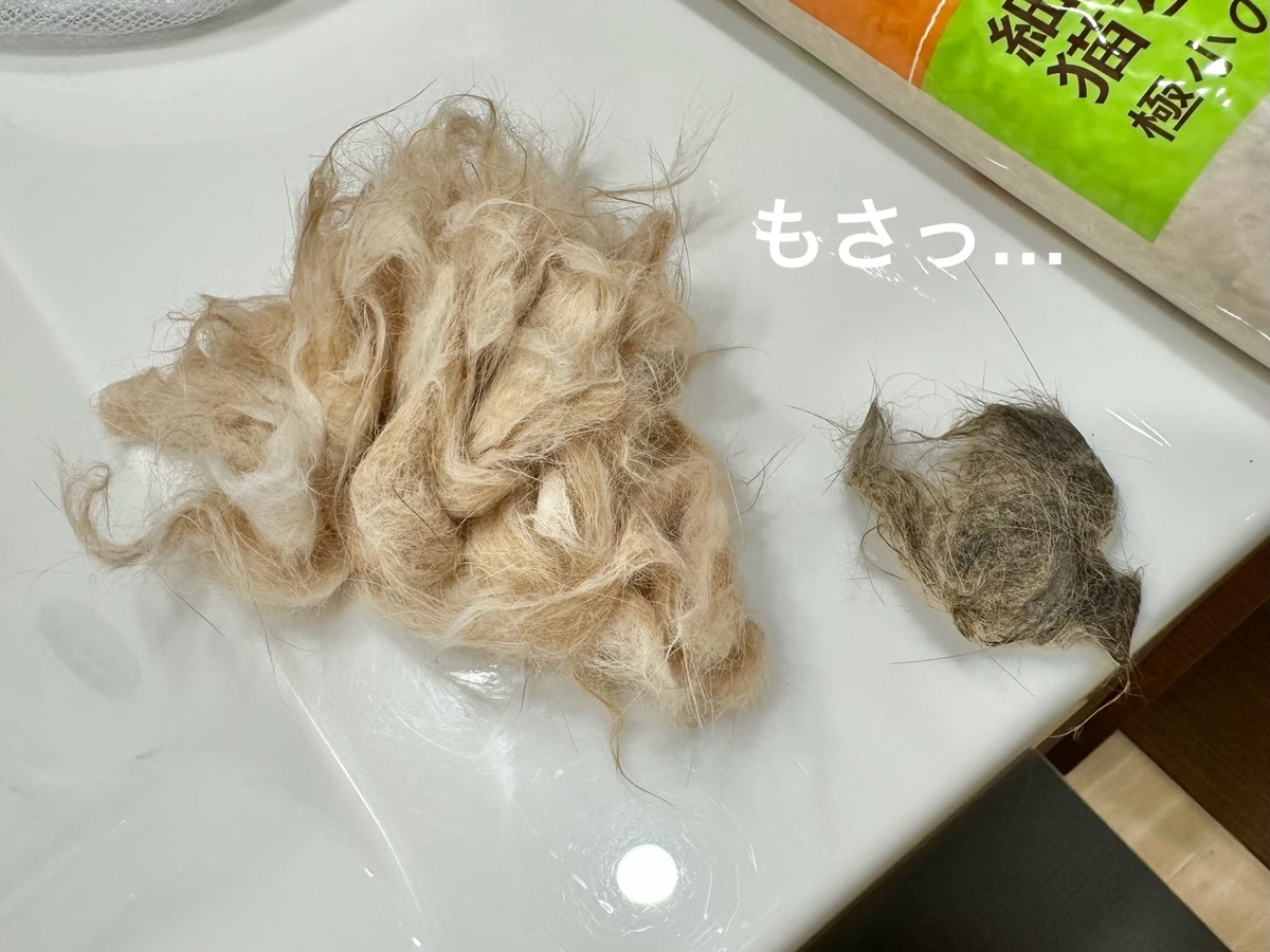 洗った猫毛