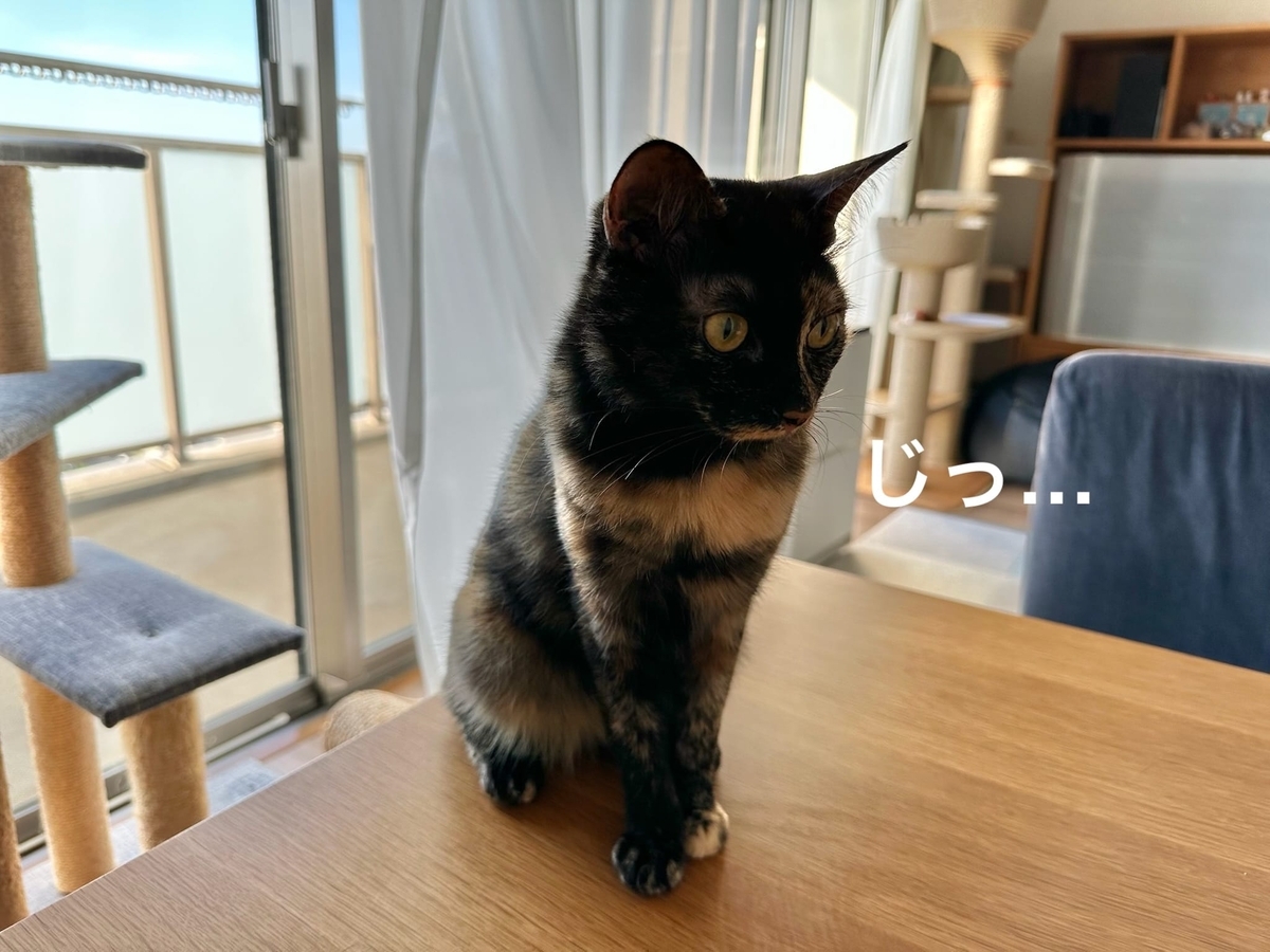 逆光のもなちゃん2