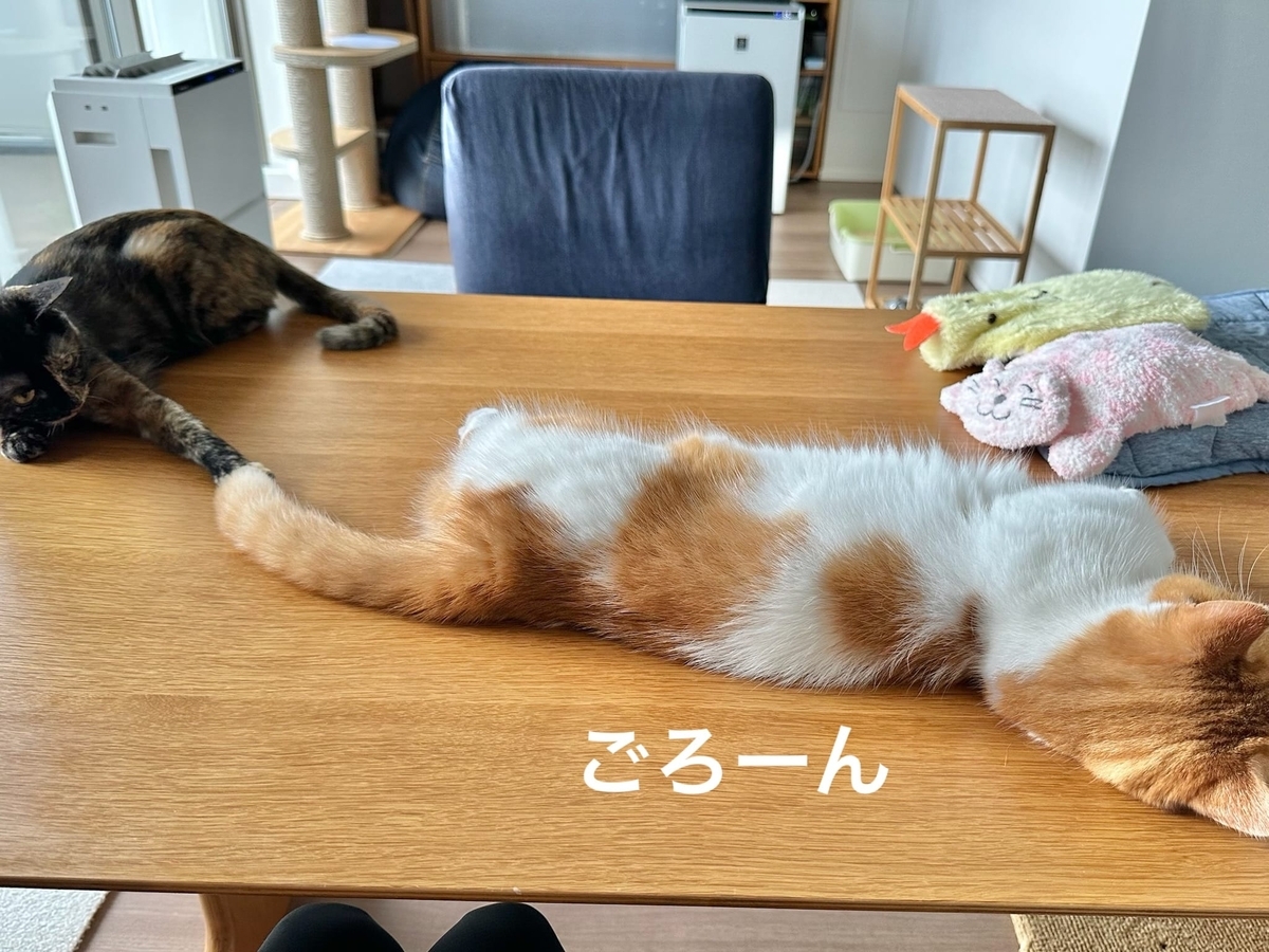 まったりタイムのるるもな