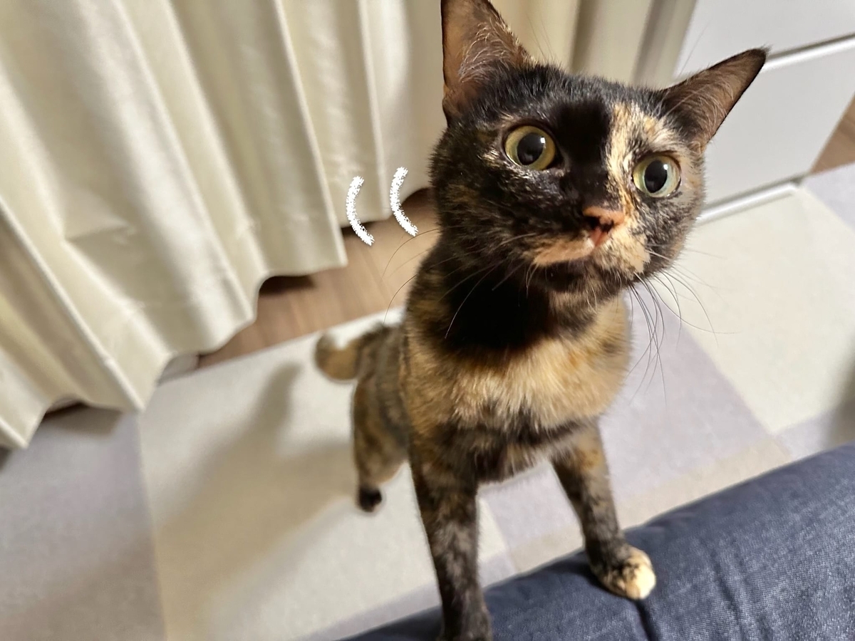 口笛が気になるもなちゃん2