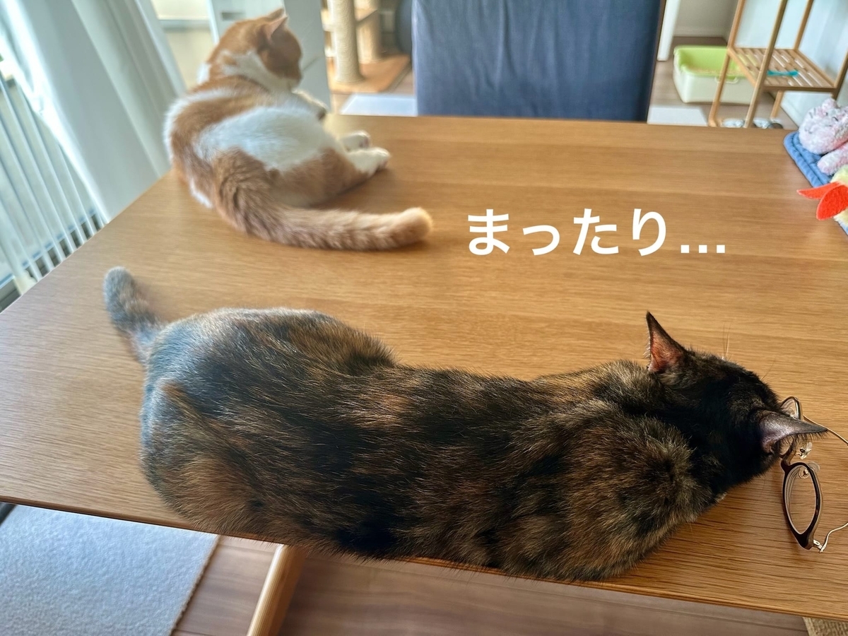 朝のまったりタイム1