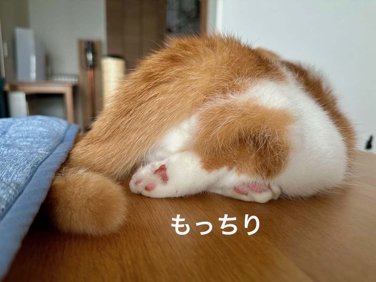 もっちりおしり1