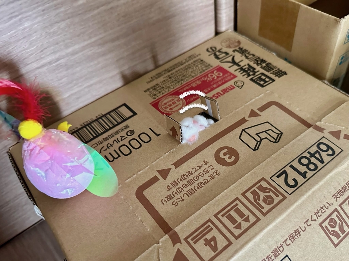箱にたてこもるるるちゃん2