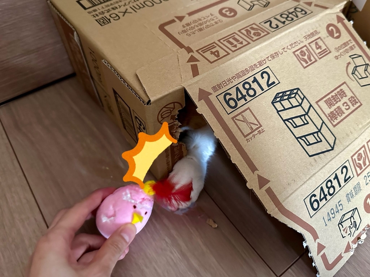 箱にたてこもるるるちゃん3