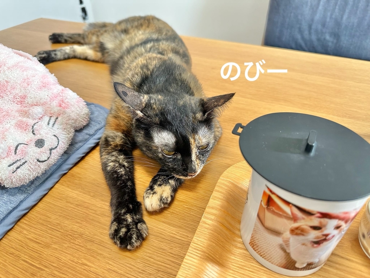 朝食タイムのもなちゃん1
