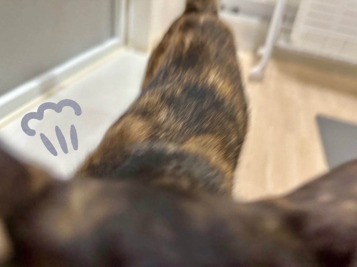 ドアップのもなちゃん