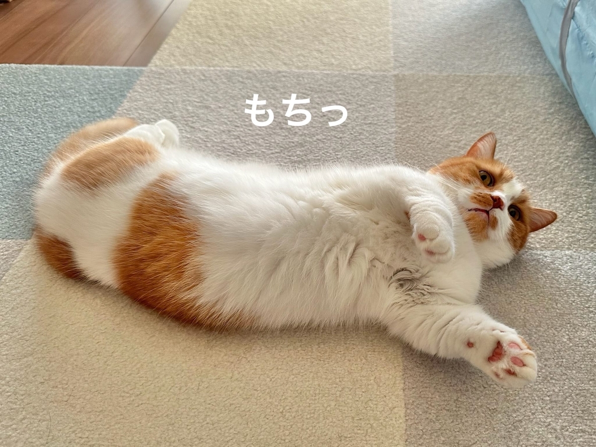 転がるるるちゃん