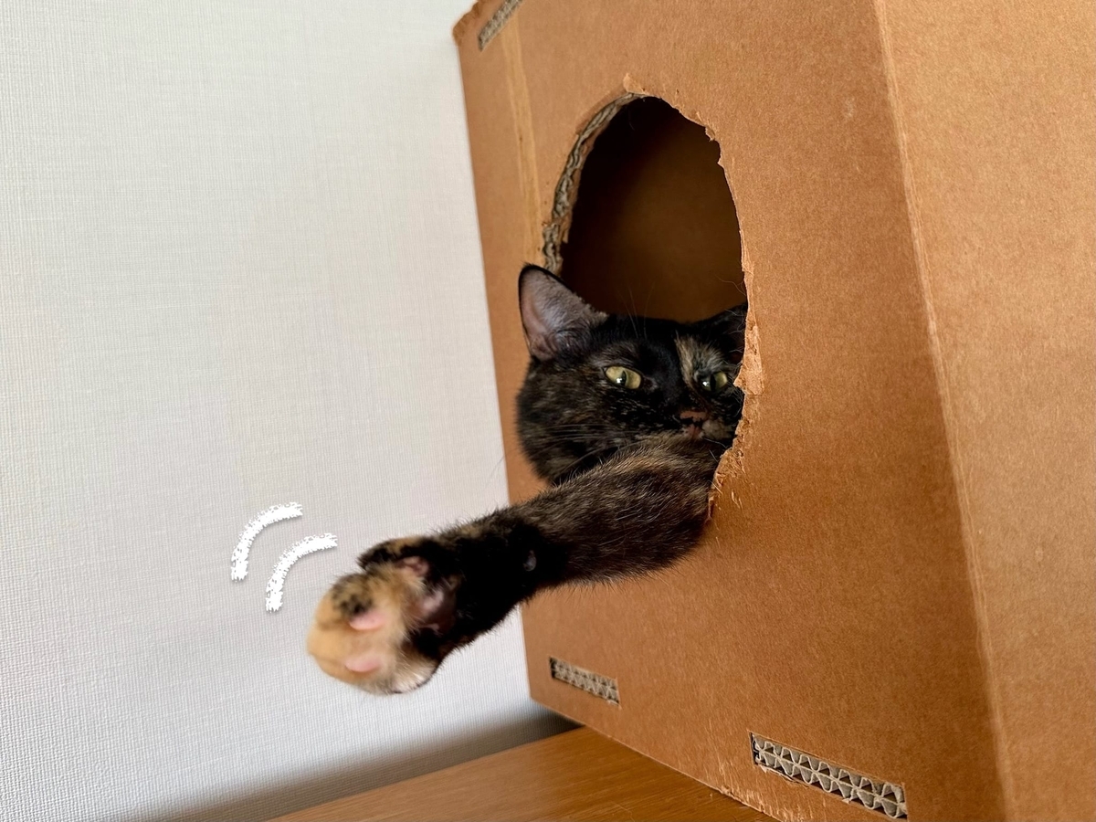 お手手ひょっこりもなちゃん2