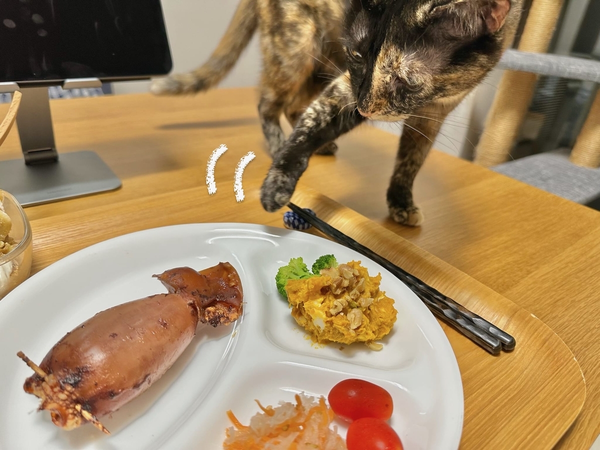 イカ飯が気になるもなちゃん