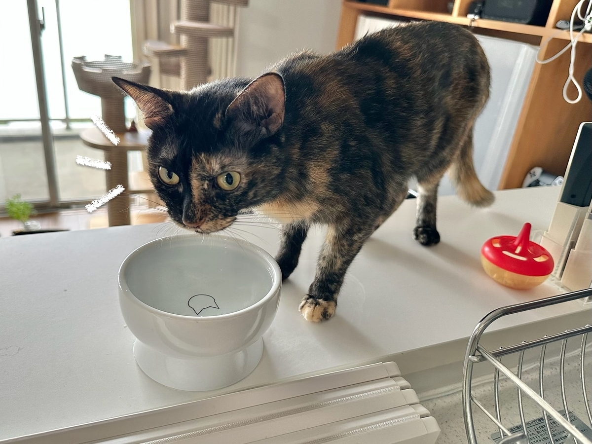 お水を飲むもなちゃん2