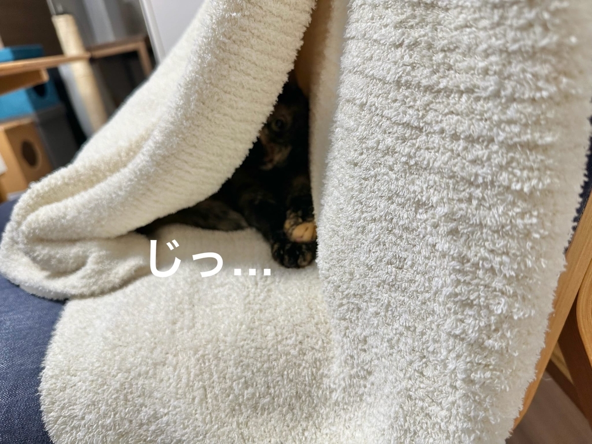 おくるみもなちゃん2