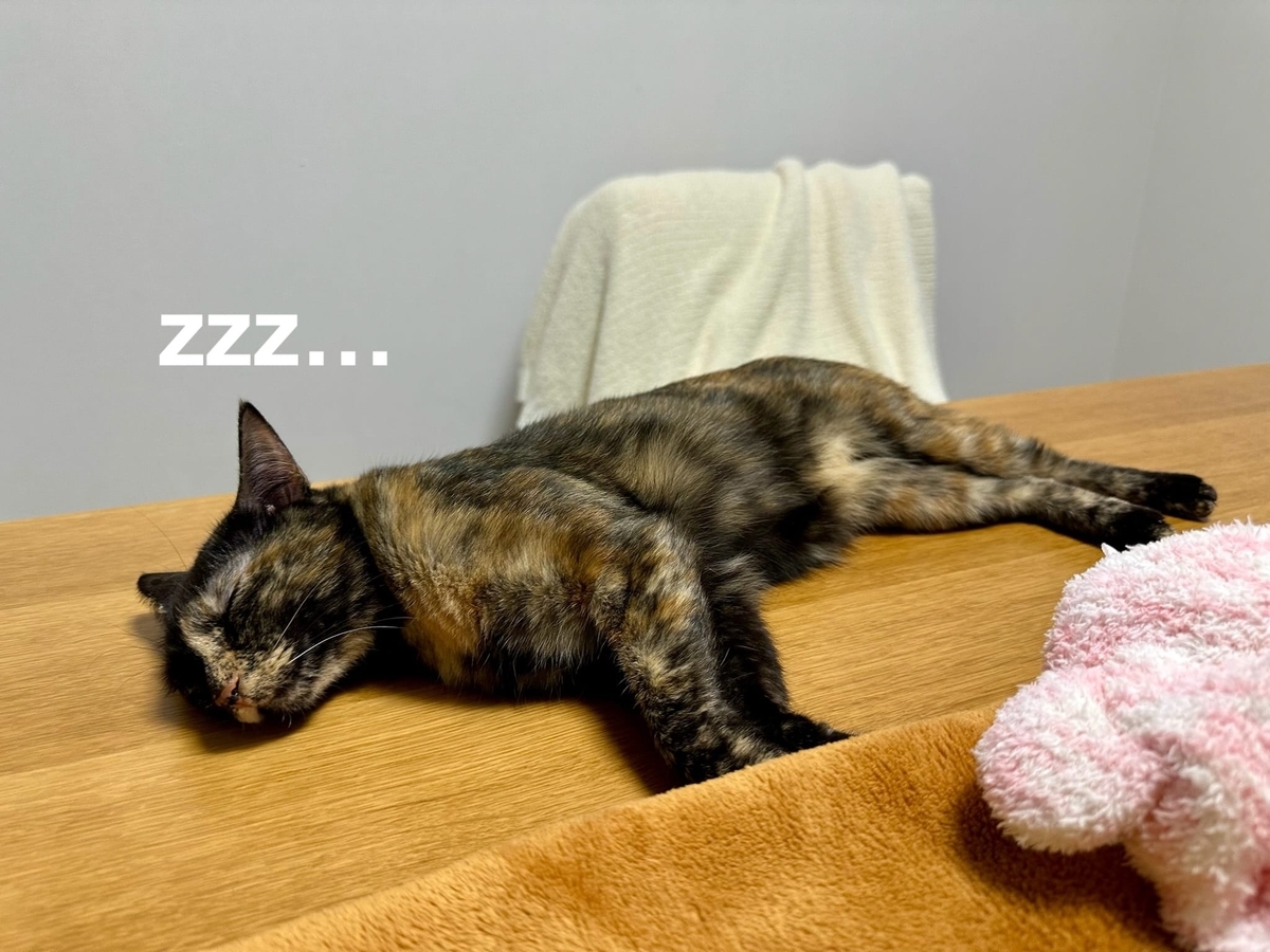 無防備な寝姿のもなちゃん