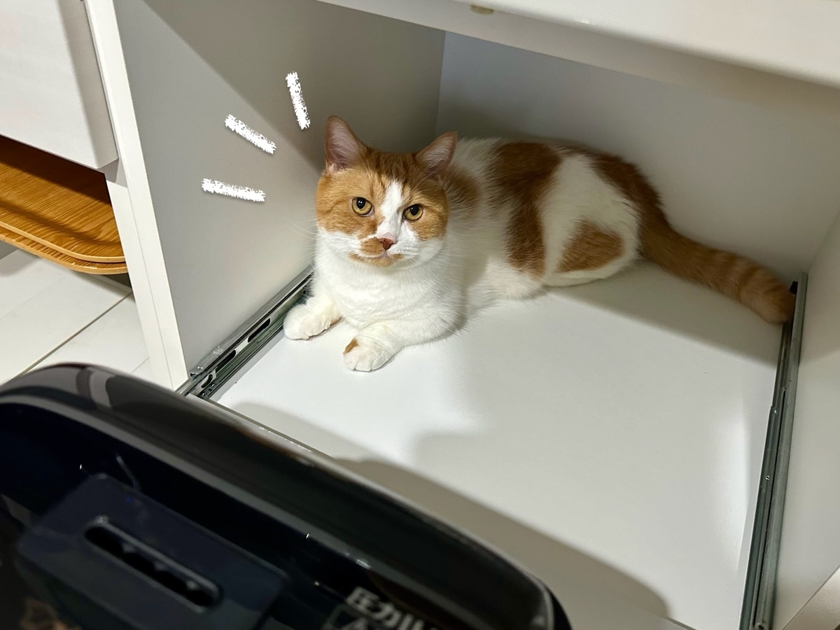 炊飯器コーナーのるるちゃん