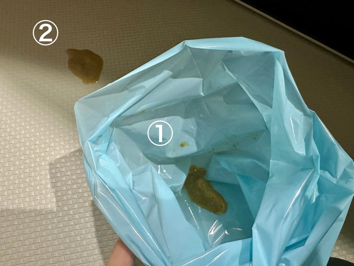 るるちゃんの嘔吐