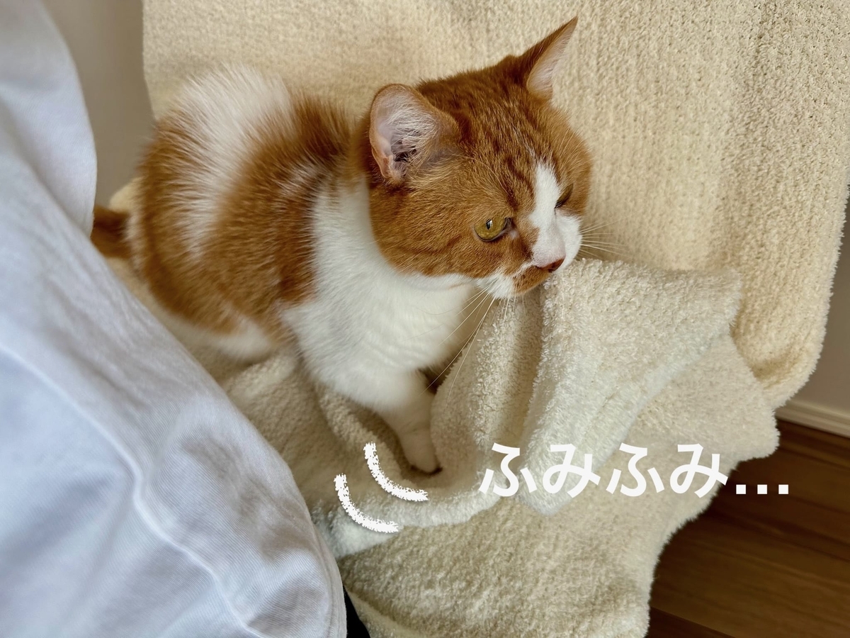 今年初のふみふみ