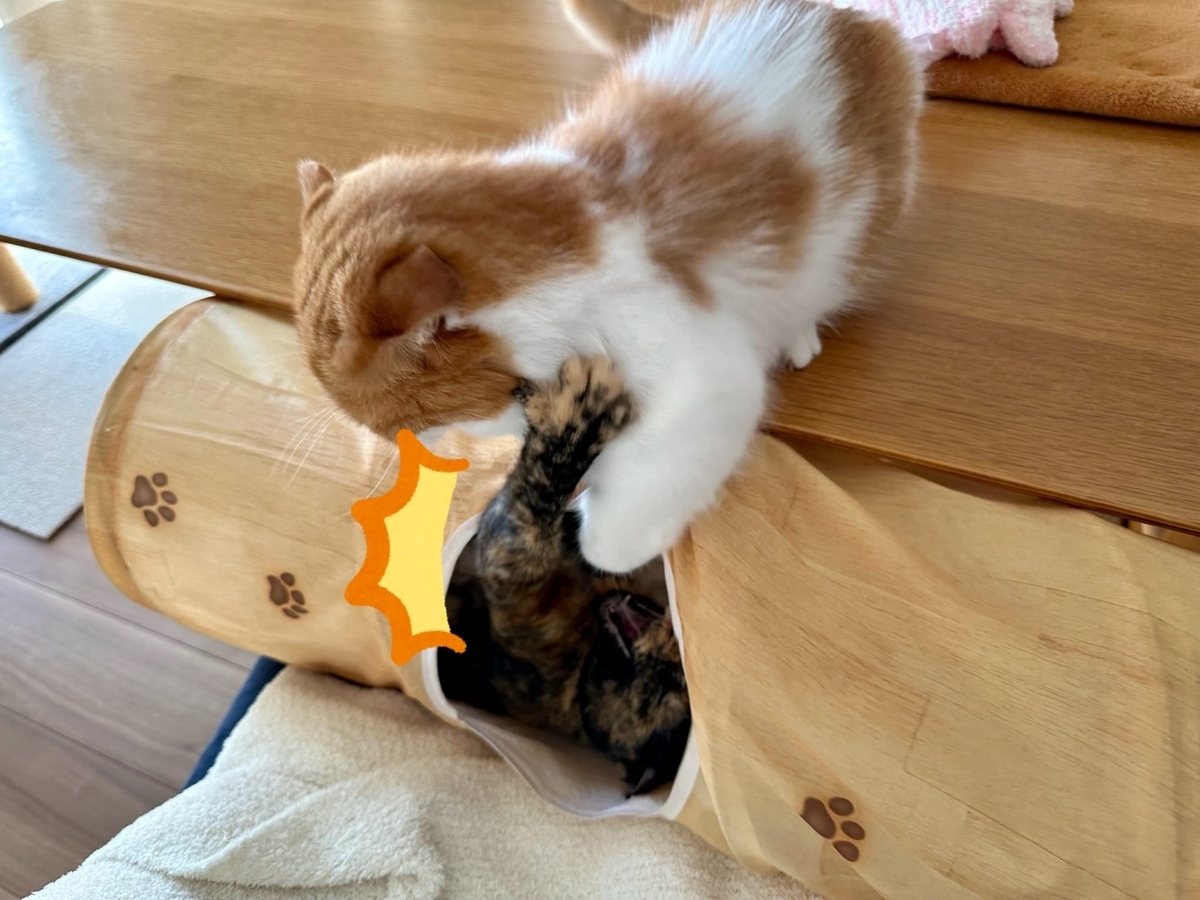 トンネルでバトル2