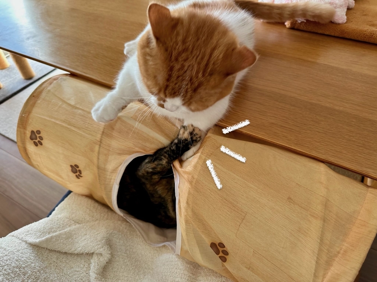 トンネルでバトル1