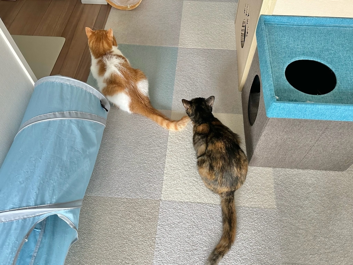 るるもなの縦列駐車1