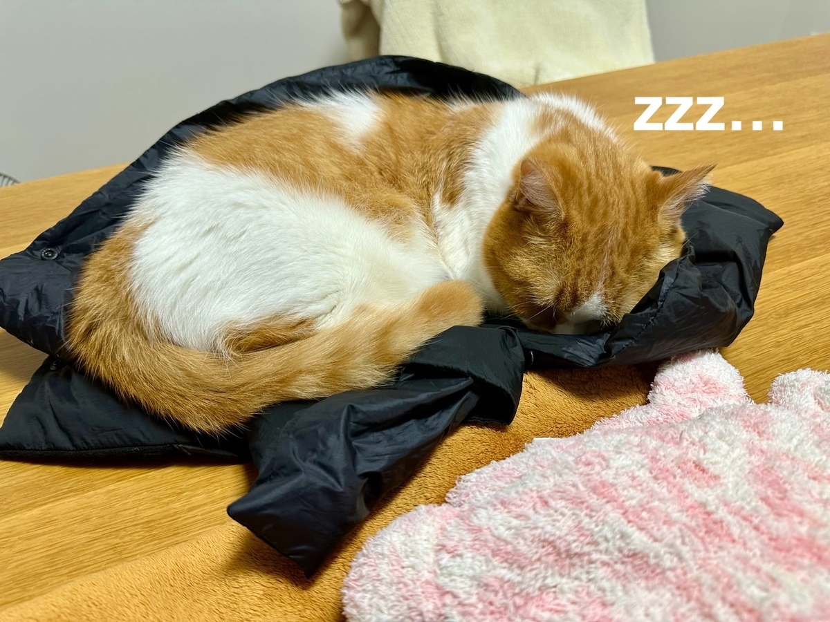 ダウンの上でお昼寝中のるるちゃん2