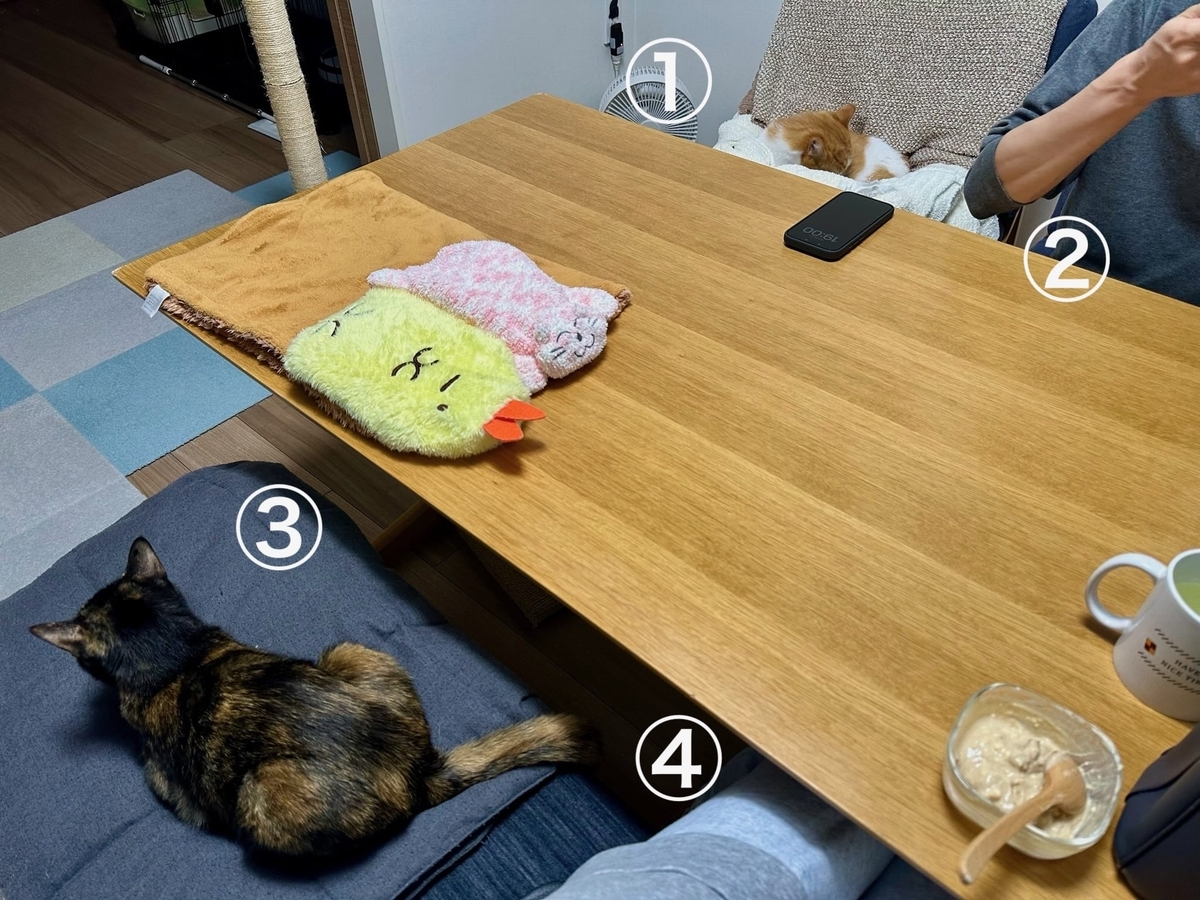 追加購入したベンチソファ2