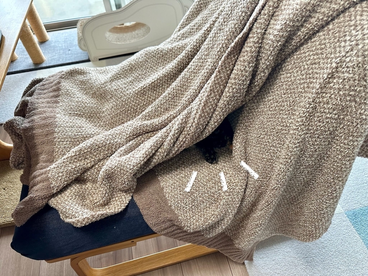 椅子を占拠するるるもな2