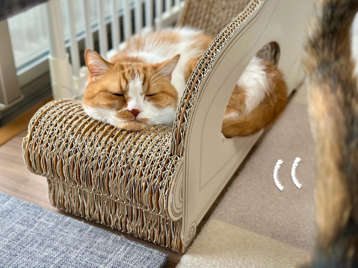 見切れるもなちゃん