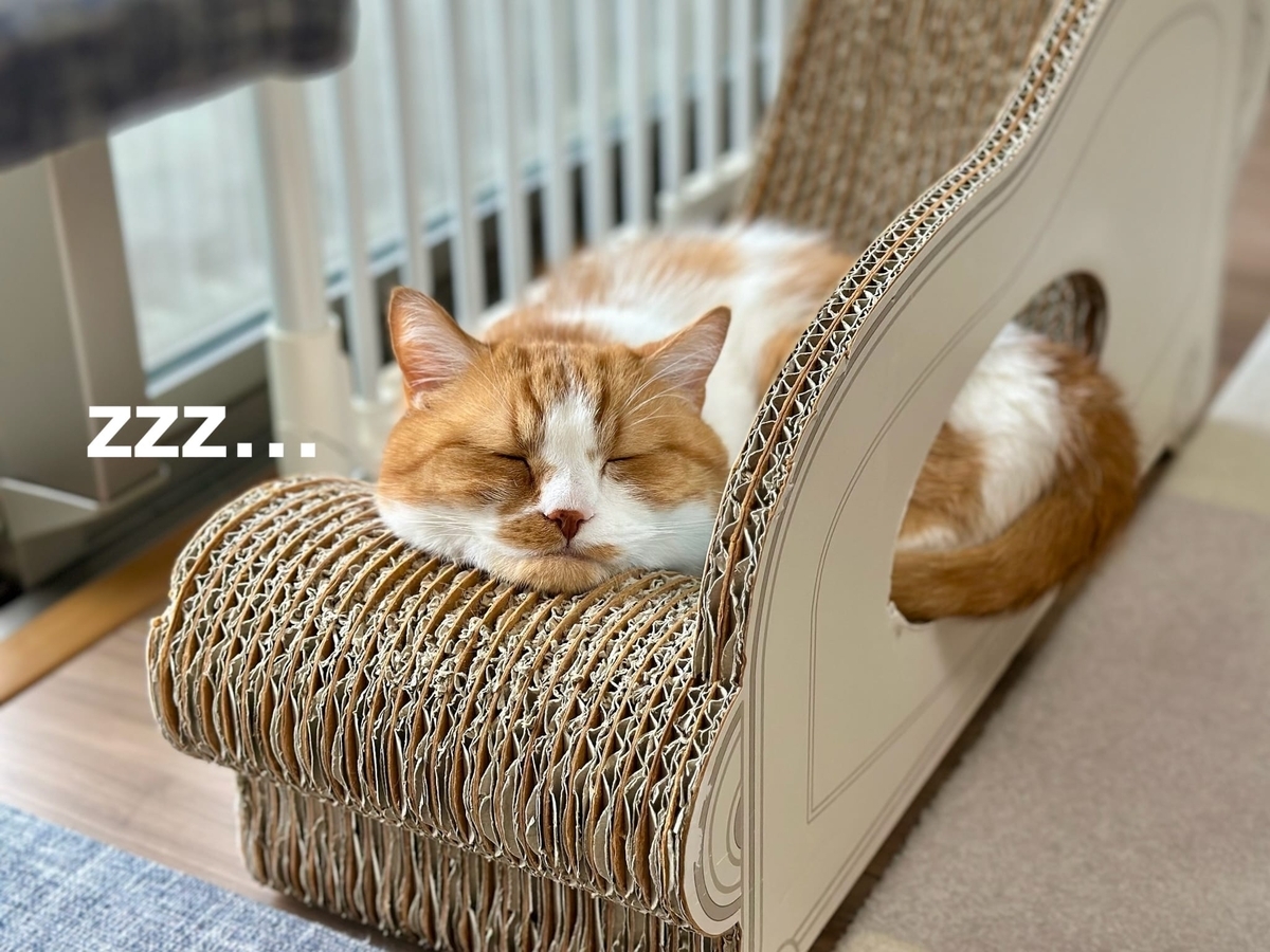 お昼寝るるちゃん