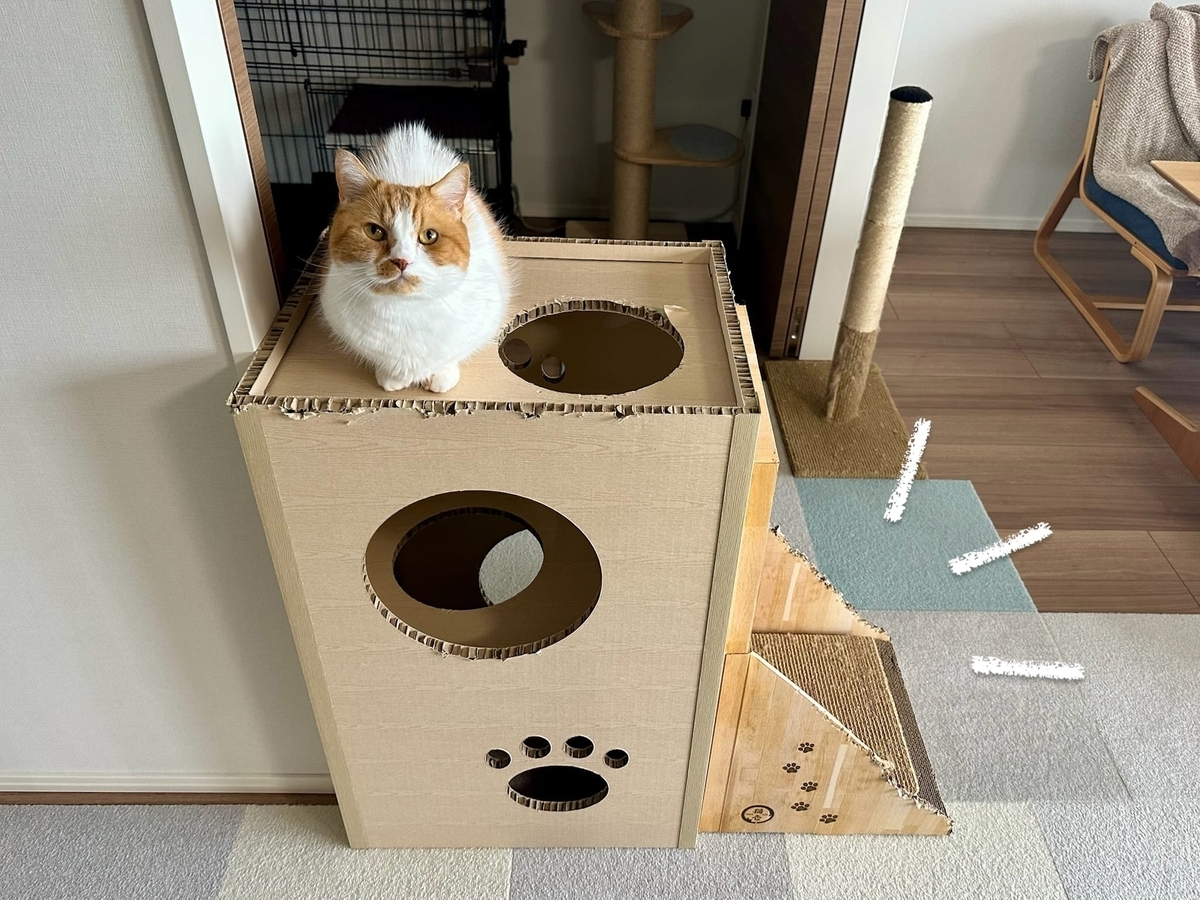 ねこねこタワーの変移3