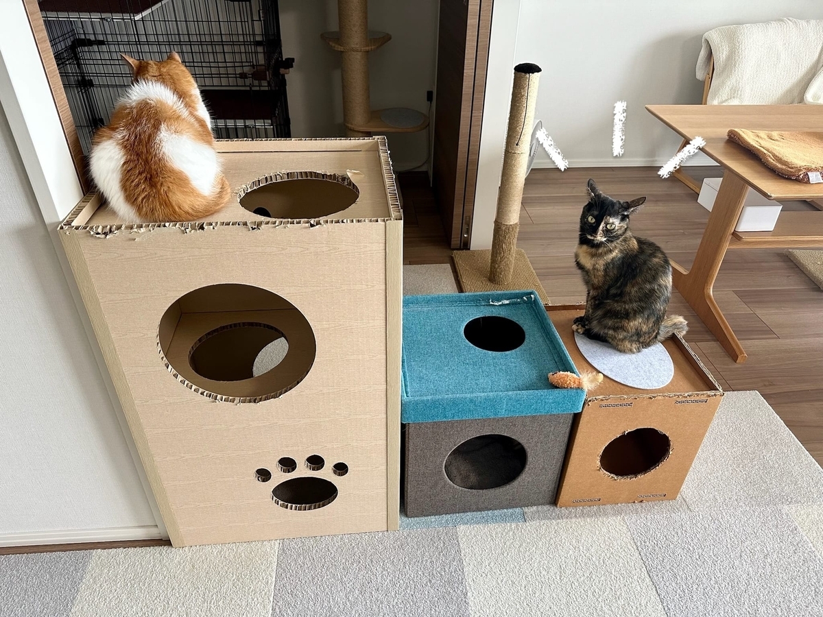 ねこねこタワーの変移1