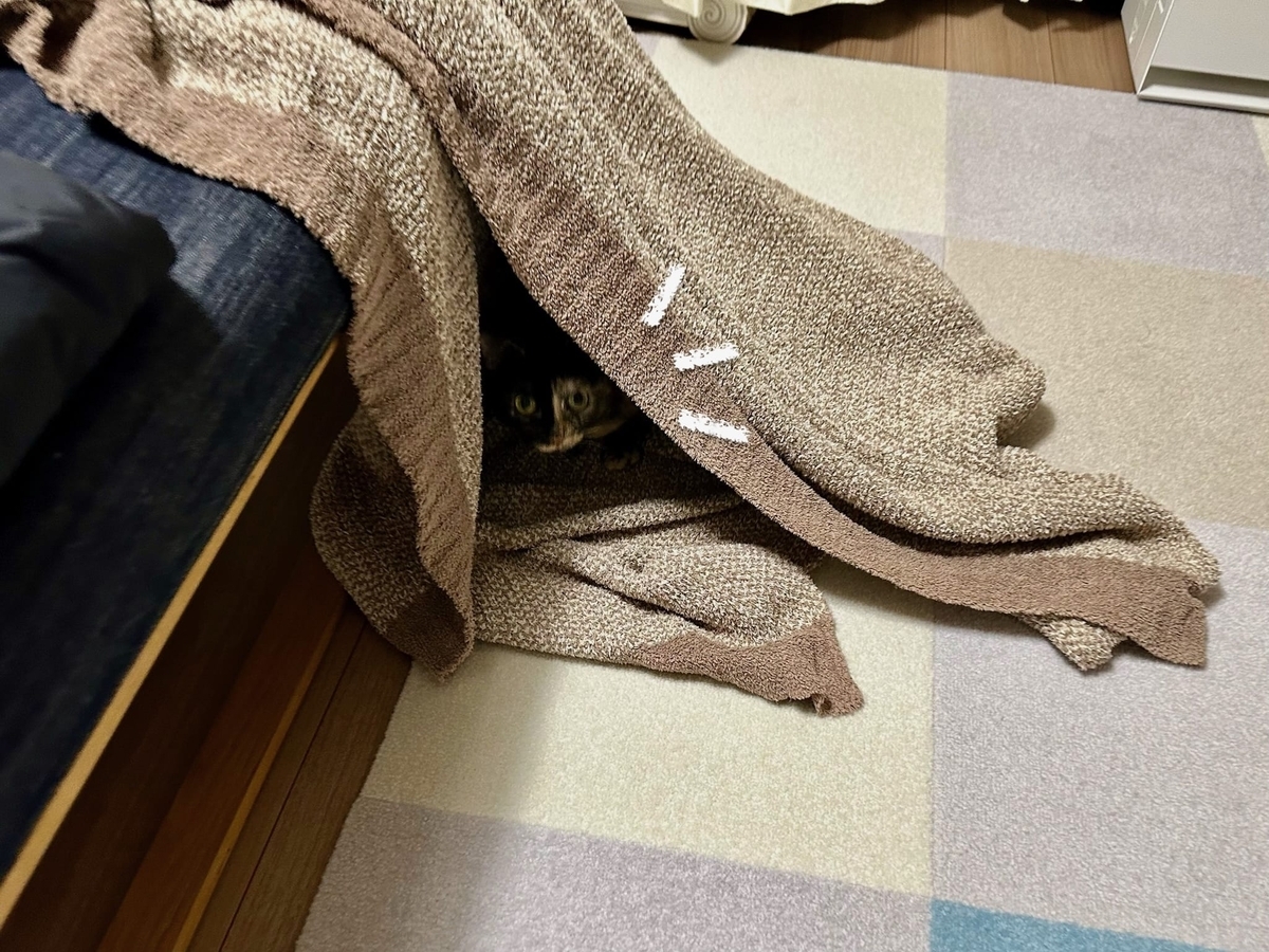 秘密基地のもなちゃん