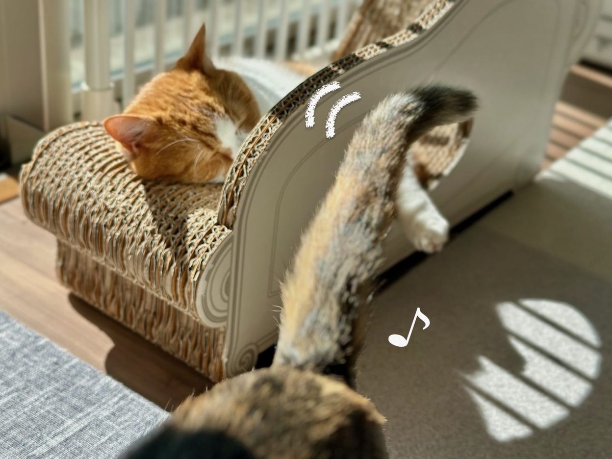 日向ぼっこ中のるるもな3