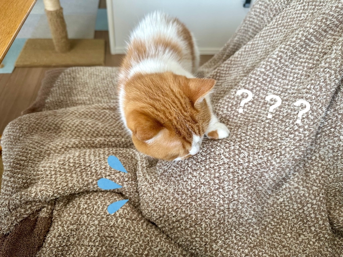 いぶかしげなるるちゃん