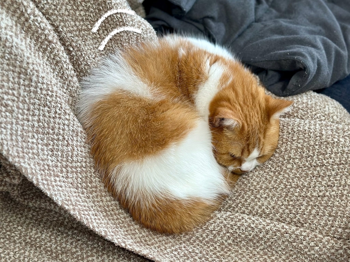 とげとげるるちゃん