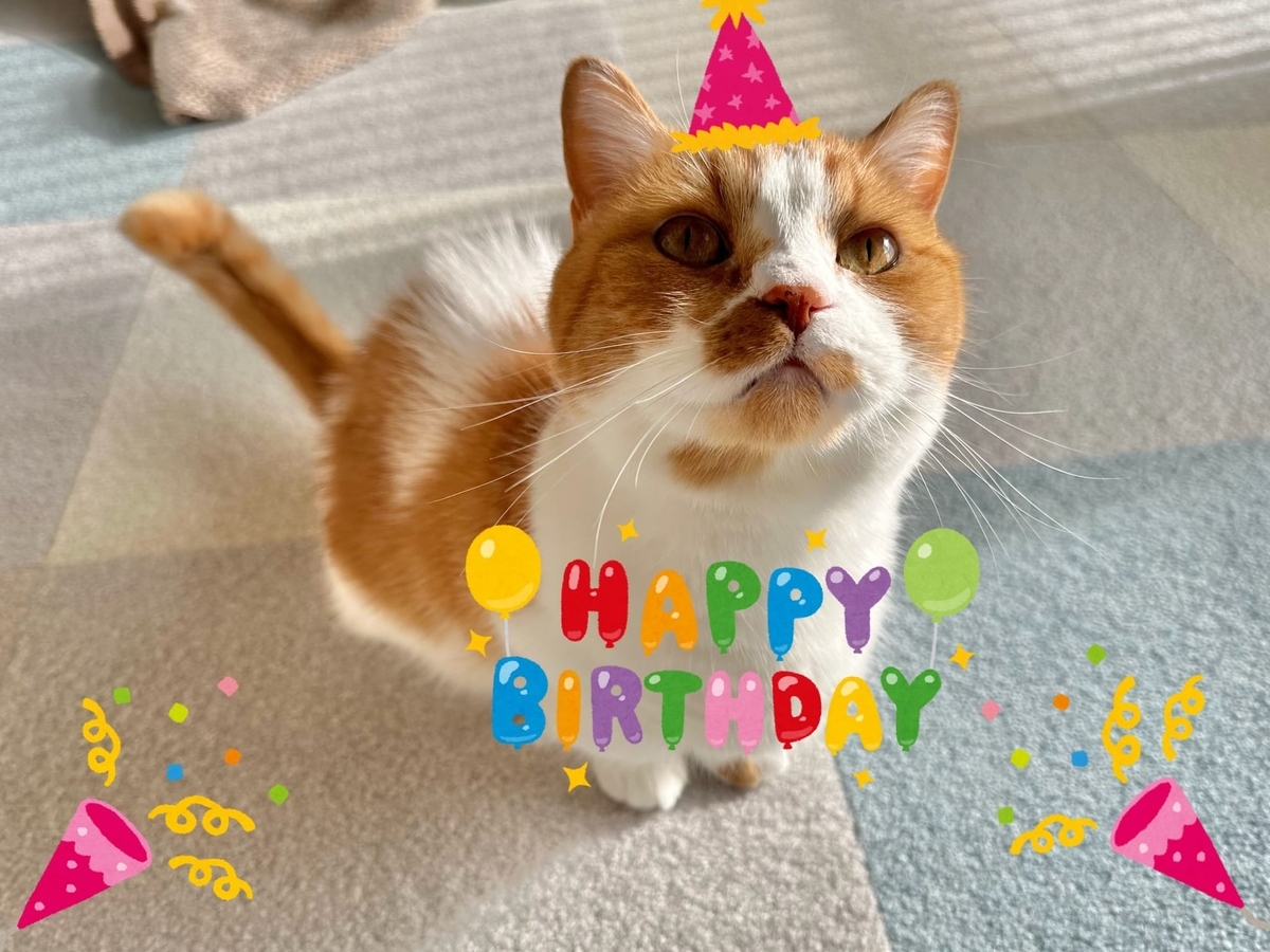 お誕生日のるるちゃん