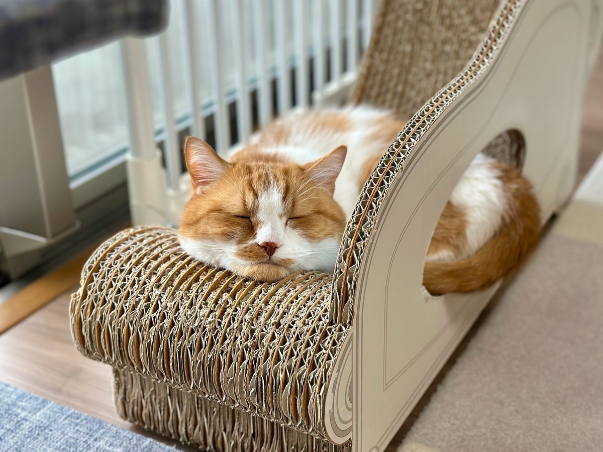 あご乗せるるちゃん